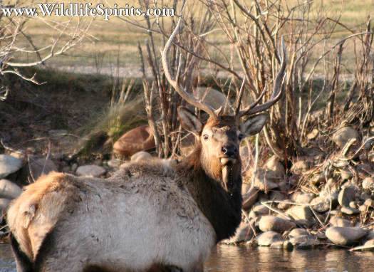 Click Picture to send as an  E-PostCard 44k 525x382